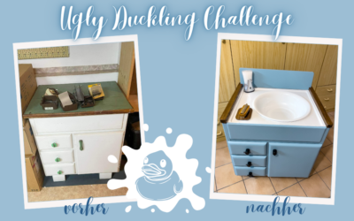 Ugly Duckling Challenge