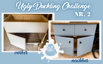 Ugly Duckling Challenge Nr 2